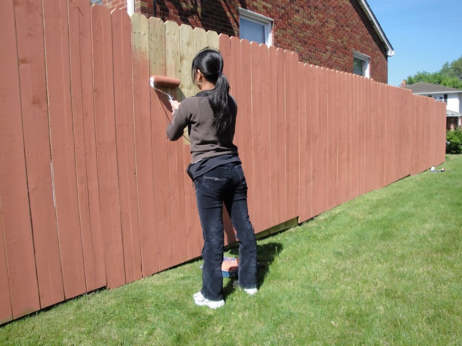 Painting a wooden fence at his dacha