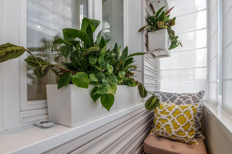 Contenitore bianco con piante verdi sul balcone di una casa a pannelli