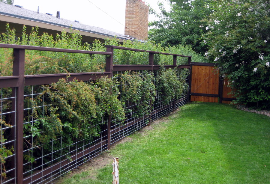 Garden fence from a grid on a frame from a profile