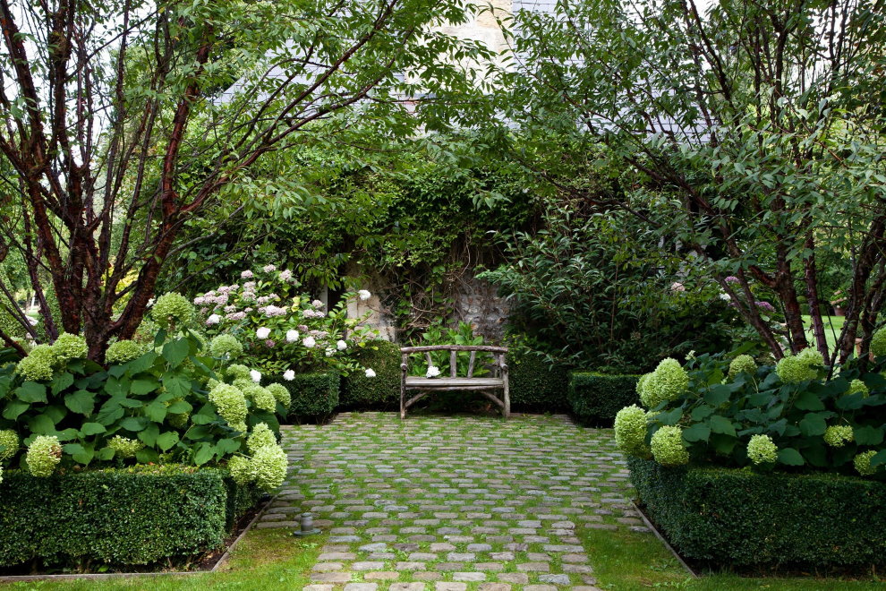 Panicle hortensia i en blomsterrabatt i en trädgård i engelsk stil