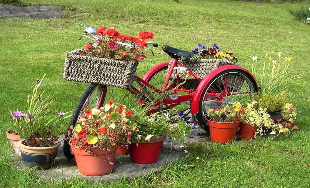 Canteiro de flores de um velho triciclo