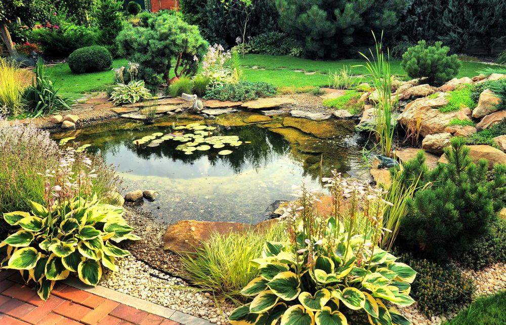 Artificial pond in the country