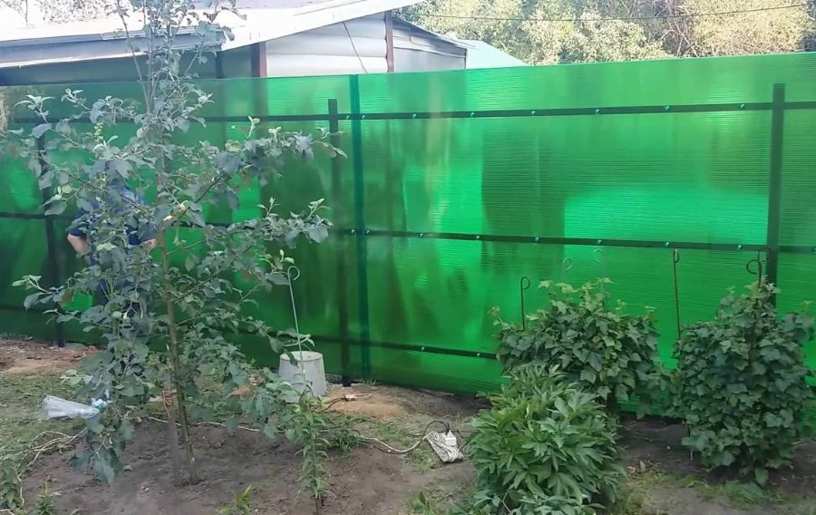 Green polycarbonate fence
