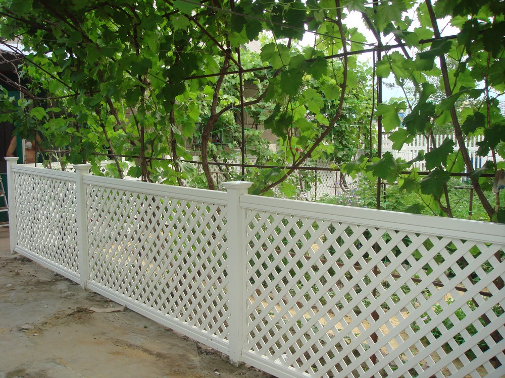 PVC fence at the border of summer cottages
