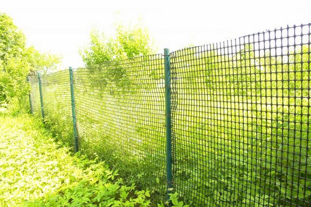 Maille en plastique verte au lieu de la clôture habituelle