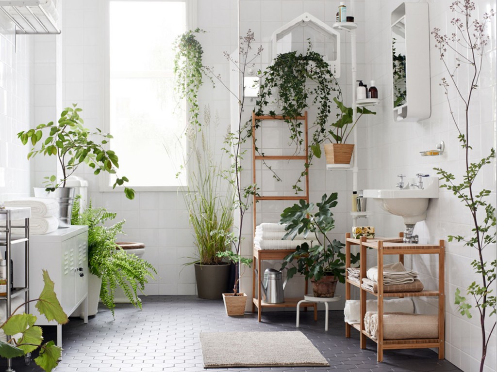 النباتات الخضراء في غرفة بيضاء
