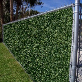 Mesh netting hedge