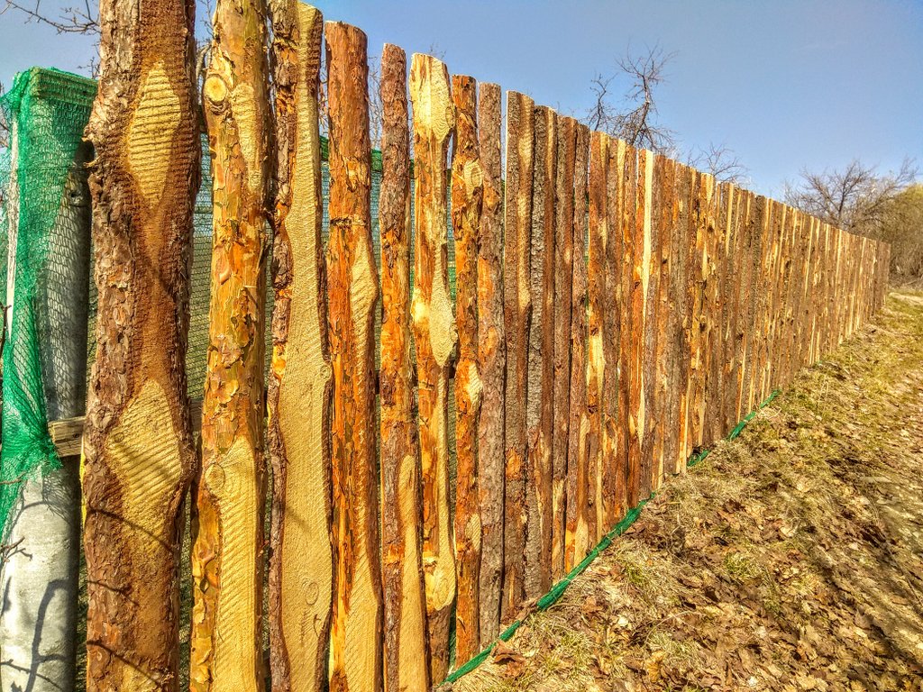 cheap slab fence