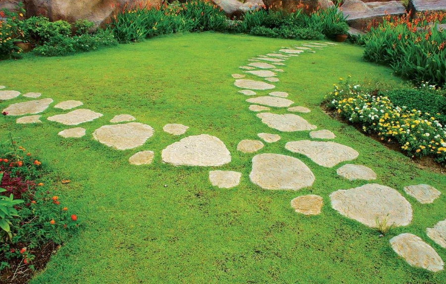 ممشى الحجر الطبيعي على العشب الأخضر