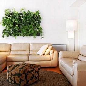 صورة خضراء في غرفة بيضاء