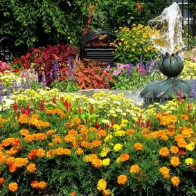 Flowerbed with marigolds around the fountain