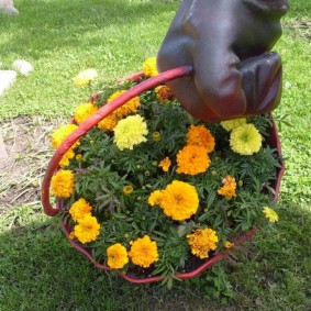 Plastic flower pot with blooming marigolds