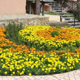 Beautiful flowerbed in front of the porch of an apartment building