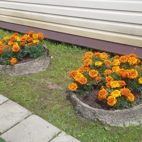 ערוגות פרחים מסודרות מול חזית בית פרטי