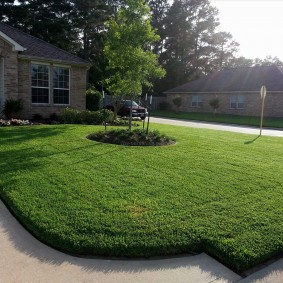 Classic lawn in front of a private house
