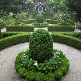 Skjuvade buskar i en engelsk stilträdgård