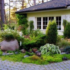 Garden flower bed with conifers