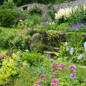 Peisaj de grădină în stil natural