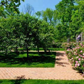 Rectangular walkways in a contemporary style garden