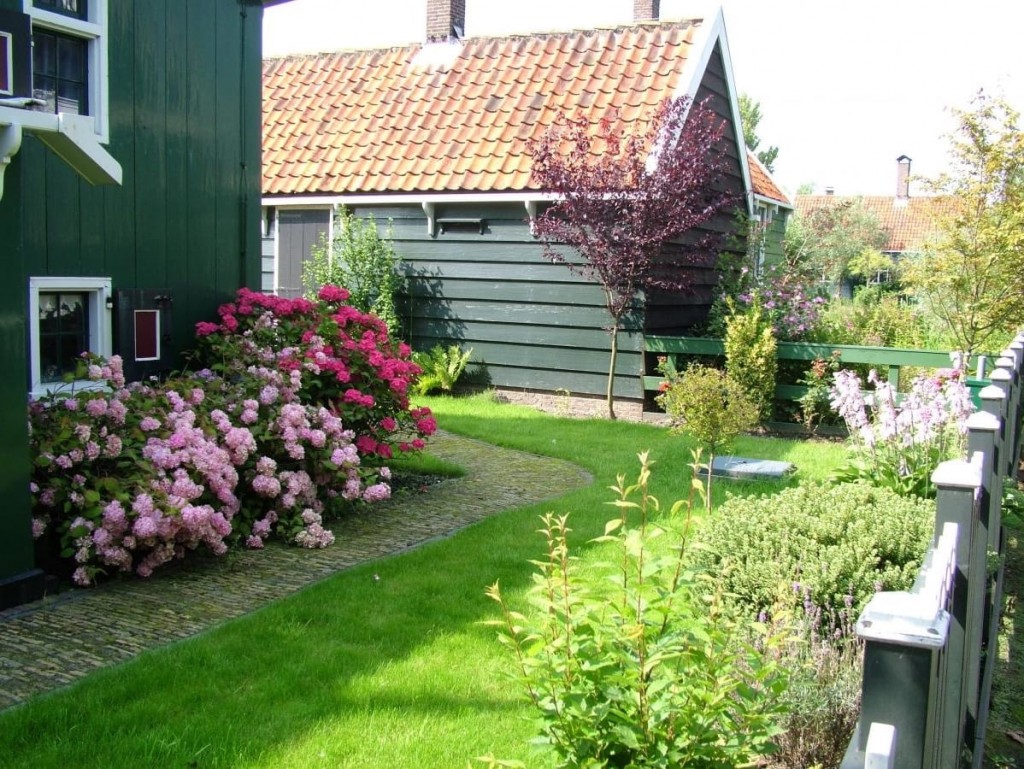 شجيرات الورد على طول منزل على قطعة أرض على الطراز الهولندي