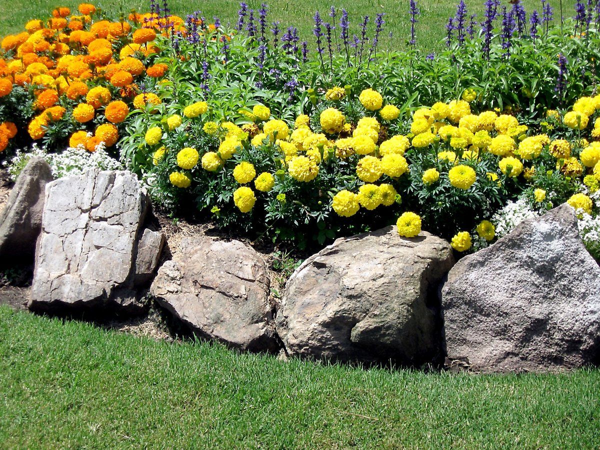 design de pat de flori din piatră