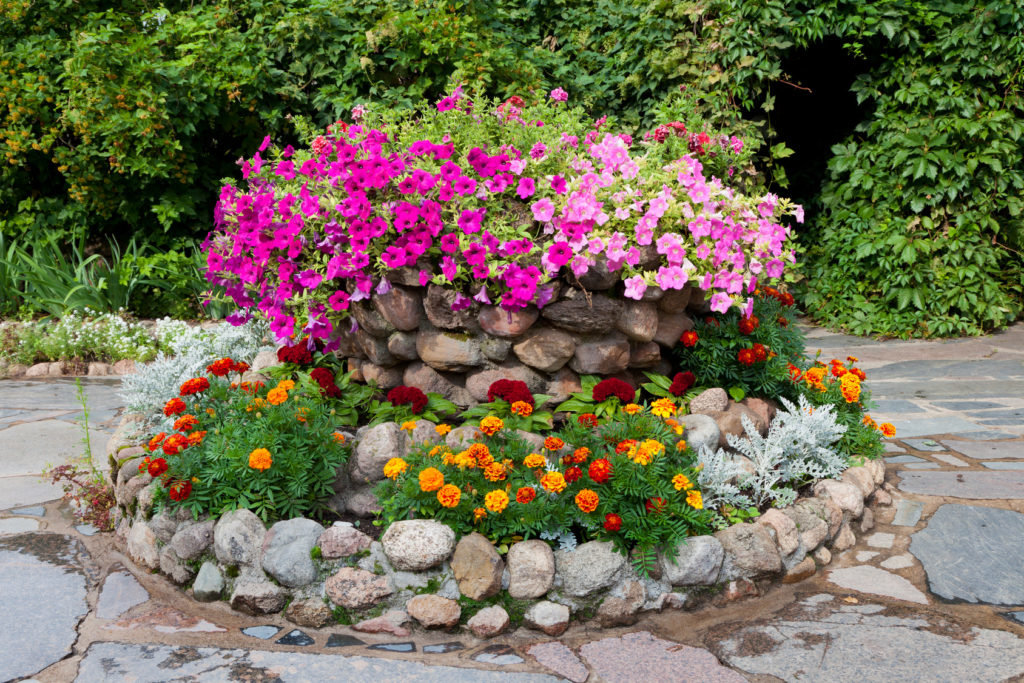 flower bed made of stone photo design