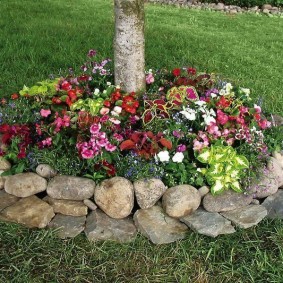 idei de design de pat de flori de piatră