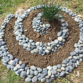 flower beds made of stones do-it-yourself photo