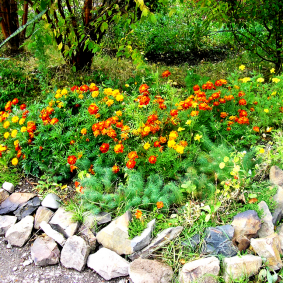 flower beds with stones do-it-yourself ideas photo