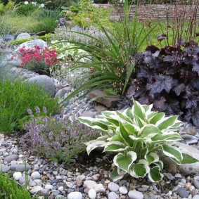 do-it-yourself flower beds made of stones photo options