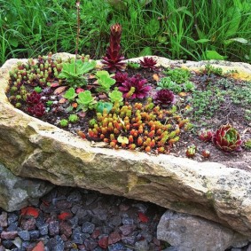 DIY flowerbeds