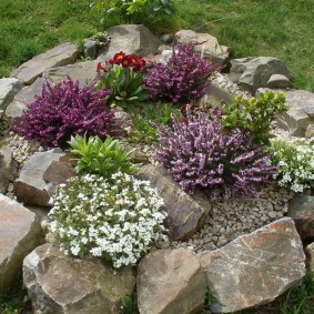 blomsterbäddar med stenar gör-det-själv-typer av dekor