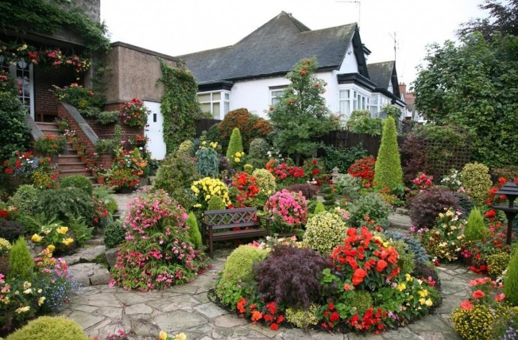 Blomster og busker i en hage i blandet stil