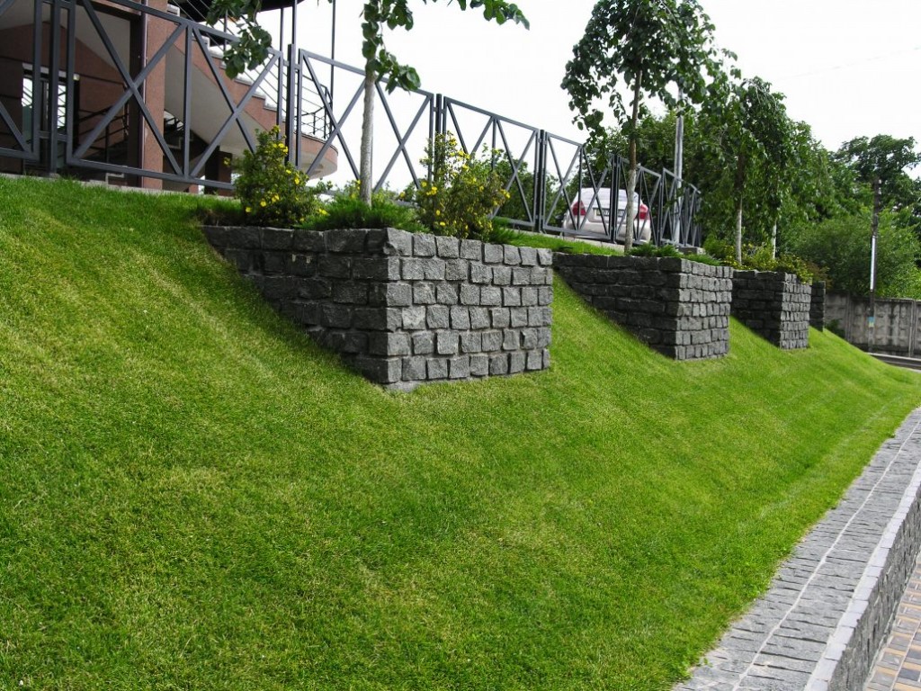 Special lawn on a steep slope