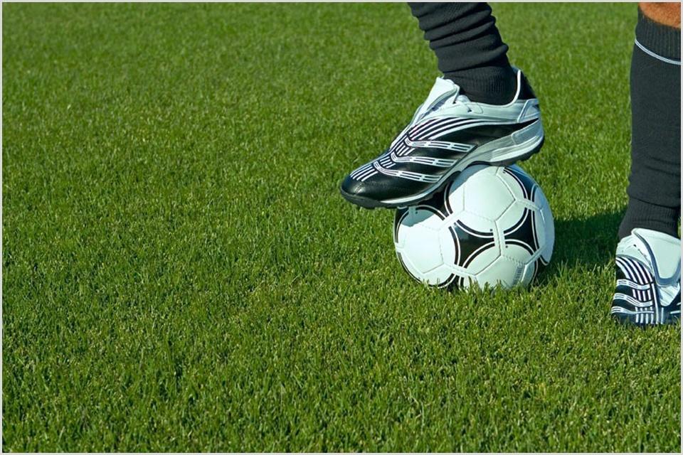 מגרש כדורגל על ​​הדשא
