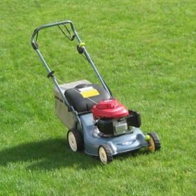 DIY lawn mowing