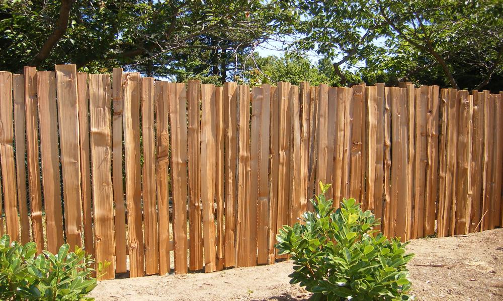 hàng rào gỗ trong làng