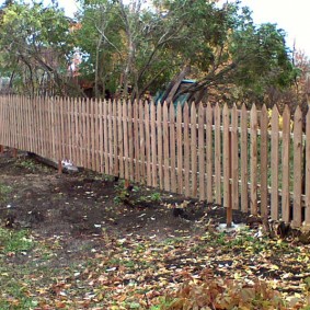 photo d'espèce de clôture de dalle