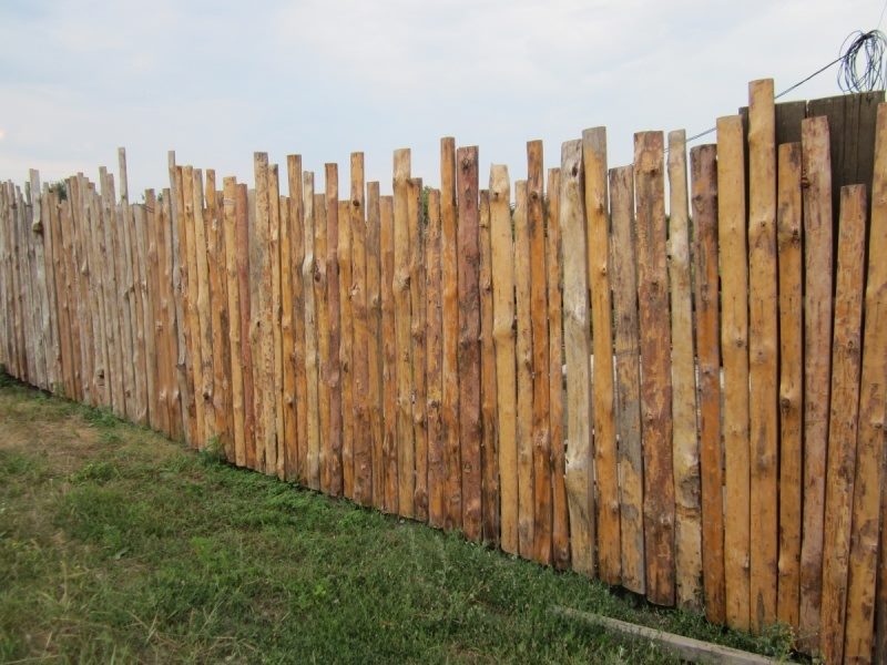 doskový plot