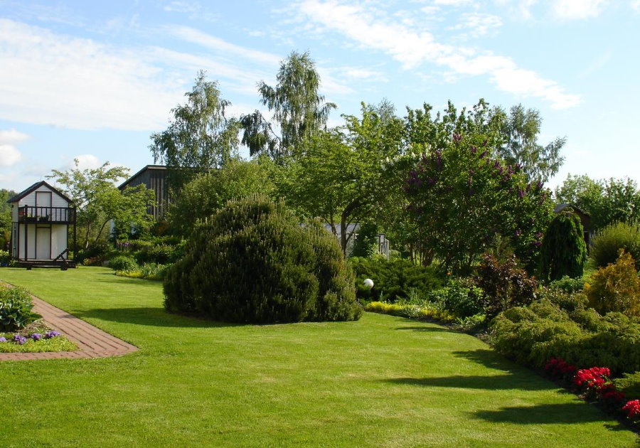 Płaska powierzchnia trawnika w ogrodzie