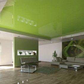 green suspended ceiling in the hall