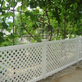 decoratief hek voor het decor van de tuinfoto