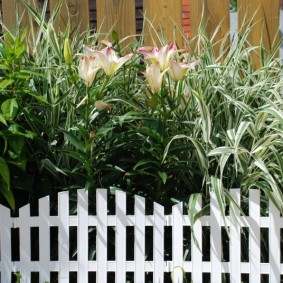 nápady na ozdobné záhradné ploty