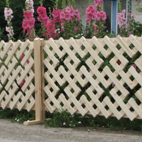 mogućnosti ukrasne ograde za vrt