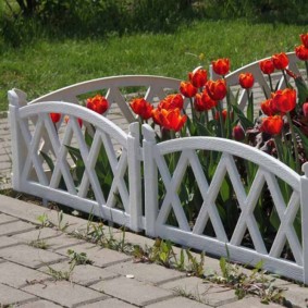 decorative fence for the garden photo species
