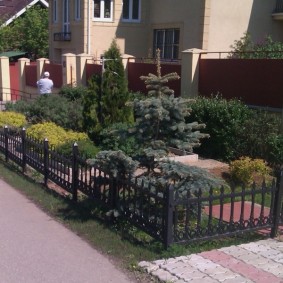 clôture décorative pour les espèces de photo de jardin