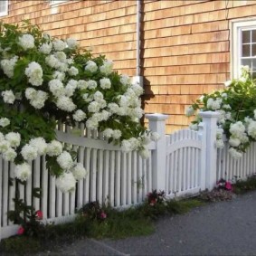 dekorativt staket för trädgården