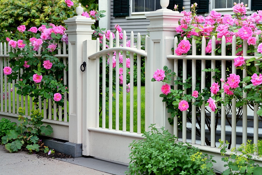 idées de clôture décorative photo