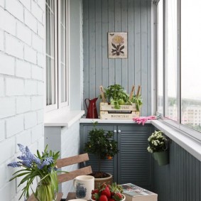 نباتات داخلية في الصيف على الشرفة