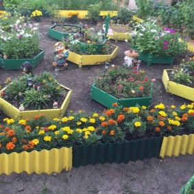 Cvjetajuće marigolde na cvjetnom krevetu seoske stranice